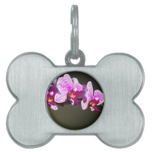 Placa Para Mascotas Elegantes flores tropicales florales rosadas orquí