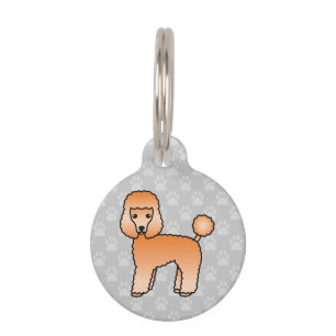 Placa Para Mascotas Encantador Caniche Juguete Albaricoque y Info Prop