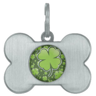 Placa Para Mascotas Encantamientos Lucky