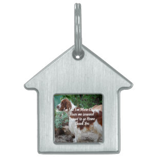 Placa Para Mascotas Encuentra mi