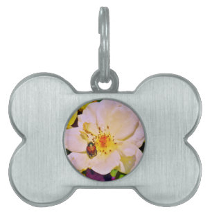 Placa Para Mascotas Escarabajo japonés sobre rosa blanco