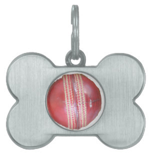 Placa Para Mascotas Esfera del maestro de la jugada: una bola de crick