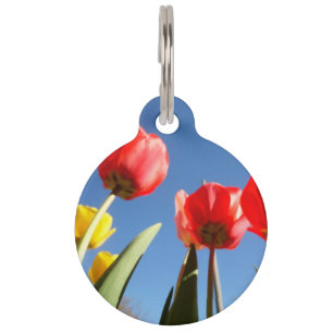 Placa Para Mascotas Estaciones de primavera amarillas rojas del cielo