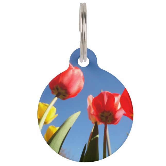 Placa Para Mascotas Estaciones de primavera amarillas rojas del cielo (Anverso)