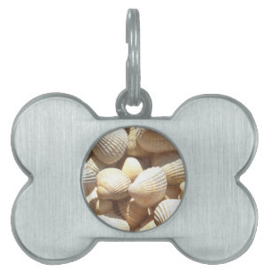 Placa Para Mascotas Estanques tropicales soleados de mar exótico