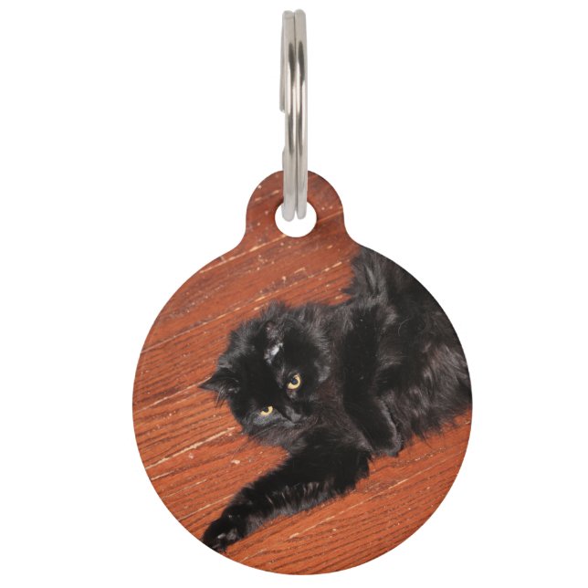 Placa Para Mascotas Estirar (Anverso)