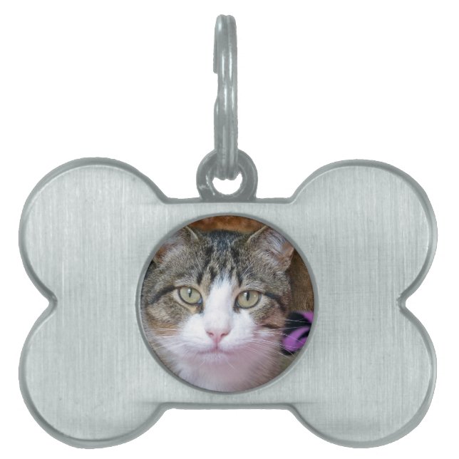Placa Para Mascotas Estoy pensando (Frente)