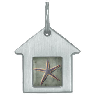 Placa Para Mascotas Estrella de mar morada Starfish en la playa