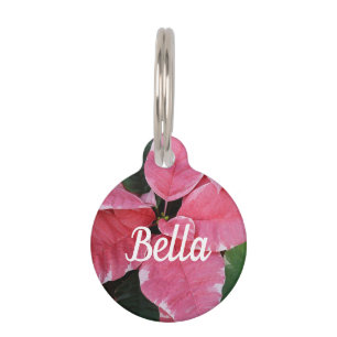 Placa Para Mascotas Estrella plateada de mármol Poinsettias Flor de va