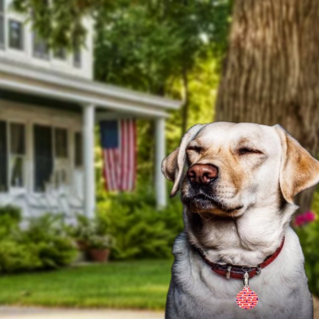 Placa Para Mascotas Estrellas de bandera (Get Fido in on the patriotic fun, with his or her own Flag Stripes Pet ID Tag!)