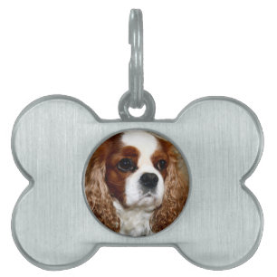 Placa Para Mascotas Etiqueta arrogante del mascota del hueso del perro