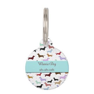 Placa Para Mascotas Etiqueta colorida del nombre del animal de