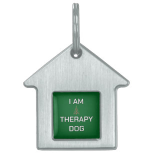 Placa Para Mascotas Etiqueta con nombre de perro personalizada Simple