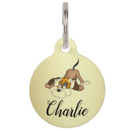 Placa Para Mascotas Etiqueta/cotización de mascotas Personalizado de r