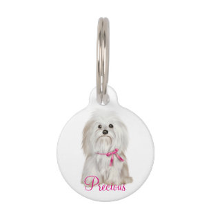 Placa Para Mascotas Etiqueta/cotización de mascotas Personalizado redo