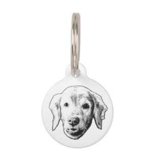 Placa Para Mascotas Etiqueta de Cachorro Cálido