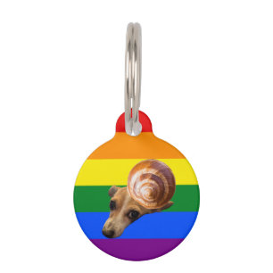 Placa Para Mascotas Etiqueta de caracol gay