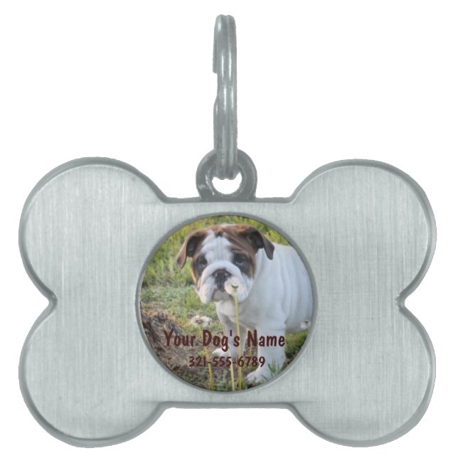 Placa Para Mascotas Etiqueta de encargo de la identificación del (Frente)