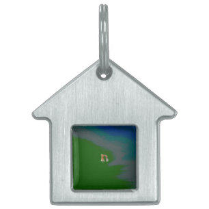 PLACA PARA MASCOTAS ETIQUETA DE ID DE GATO ESTILO DE ARTE DISEÑO