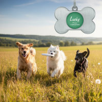 Etiqueta de identificación de collar de perro para