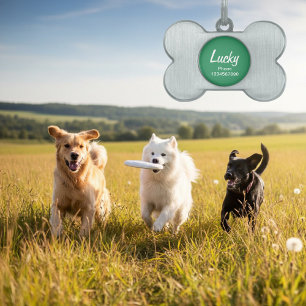 Placa Para Mascotas Etiqueta de identificación de collar de perro para