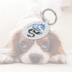 Placa Para Mascotas Etiqueta de identificación de mascota azul de Drag