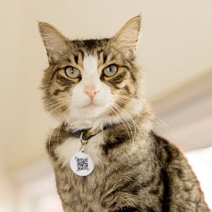 Placa Para Mascotas Etiqueta de identificación de mascota   Código QR 