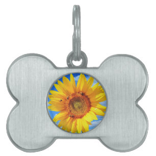 Placa Para Mascotas Etiqueta de identificación de mascota con girasol 