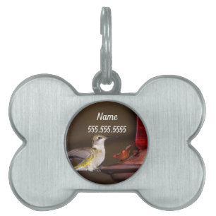 Placa Para Mascotas Etiqueta de identificación de mascota de colibrí c