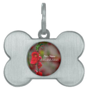 Placa Para Mascotas Etiqueta de identificación de mascota de línea de 
