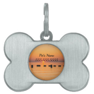 Placa Para Mascotas Etiqueta de identificación de mascota de naranja L