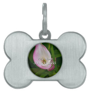 Placa Para Mascotas Etiqueta de identificación de mascotas de Calla Ro