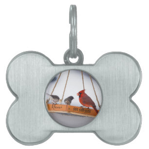 Placa Para Mascotas Etiqueta de identificación de mascotas de Cardinal
