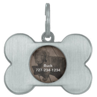 Placa Para Mascotas Etiqueta de identificación de perro con su foto e 