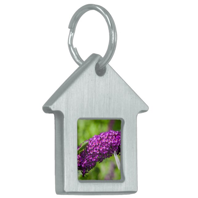 Placa Para Mascotas etiqueta de identificación del mascota de energía  (Frente Izquierda)