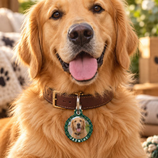 Placa Para Mascotas Etiqueta de identificación personalizada con foto