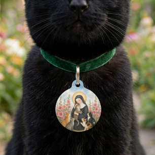 Placa Para Mascotas Etiqueta de identificación personalizada para masc