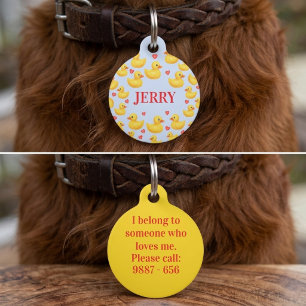 Placa Para Mascotas Etiqueta de identificación personalizada para masc