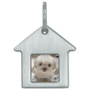 Placa Para Mascotas Etiqueta de la etiqueta de la princesa de Guay