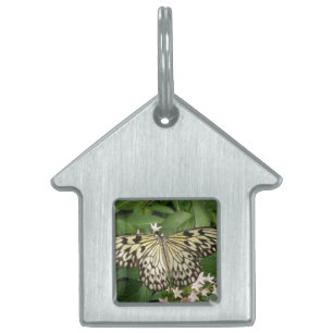 Placa Para Mascotas Etiqueta de la mariposa de la cometa de papel