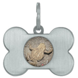 Placa Para Mascotas Etiqueta de la mascota de la toad de la cola