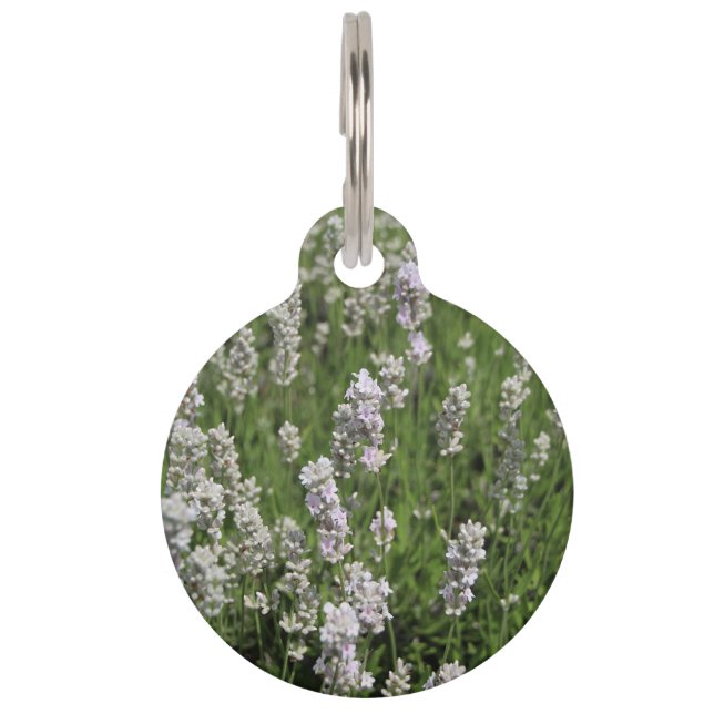 Placa Para Mascotas Etiqueta de lavanda Melissa (Anverso)