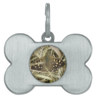 Placa Para Mascotas Etiqueta de mariposa de mariposa de madera escamad