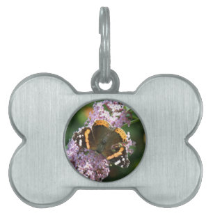 Placa Para Mascotas Etiqueta de mariposa y mascota de almirante rojo y