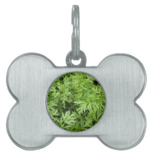 Placa Para Mascotas Etiqueta de mascota Carrot Tops