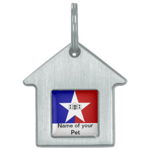 Placa Para Mascotas Etiqueta de mascota con bandera de la ciudad de Sa