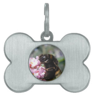 Placa Para Mascotas Etiqueta de mascota de abejorros y flores rosas oc