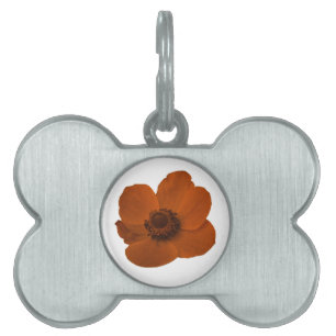 Placa Para Mascotas Etiqueta de mascota de anemone marrón