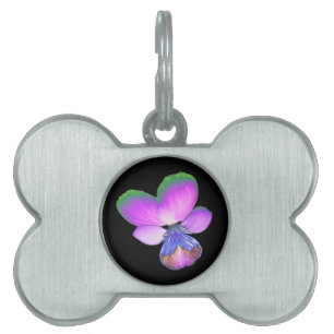 Placa Para Mascotas Etiqueta de mascota de bonito