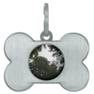 Placa Para Mascotas Etiqueta de mascota de bosque espeluznante